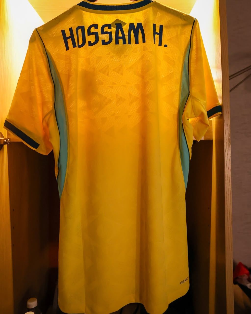 حسام حسن