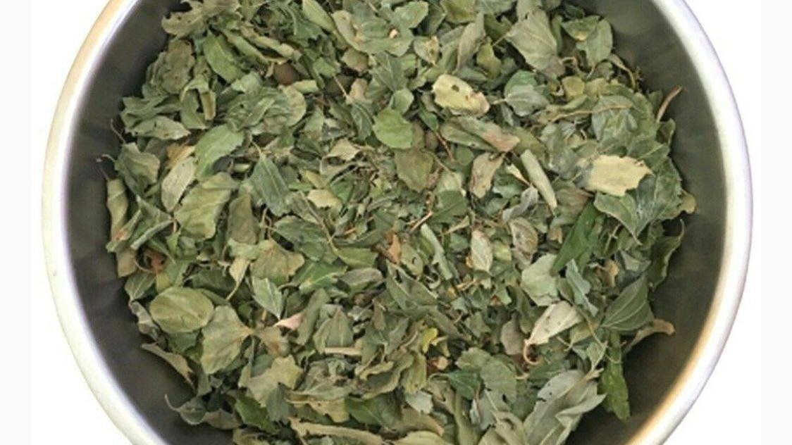 ورق السدر وفوائده