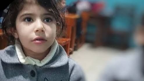 الطفلة لارين طفلة المنيا، فيتو 