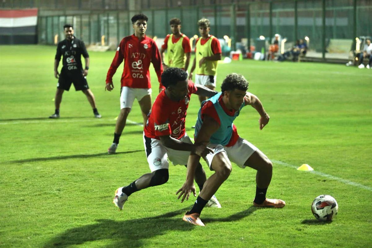 bfcf377fff.jpg