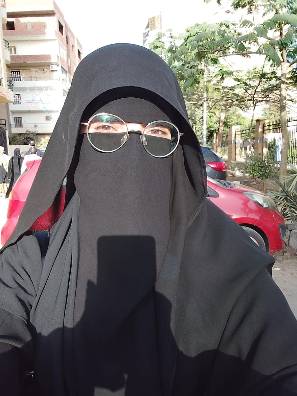 أوائل الثانوية الازهرية بالإسماعيلية، فيتو