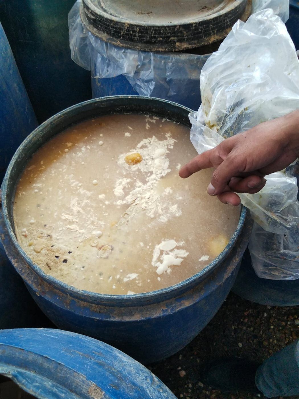 2624c32220.jpg