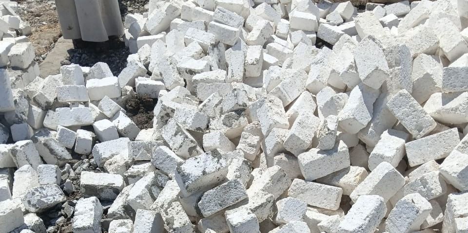 495425968c.jpg