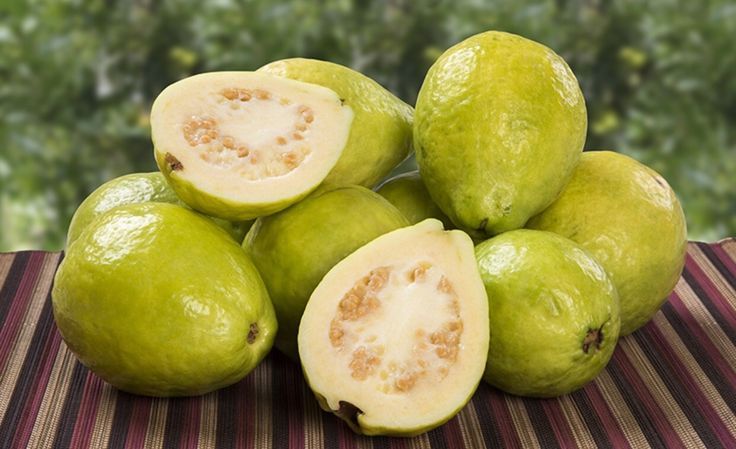 الجوافة وفوائدها
