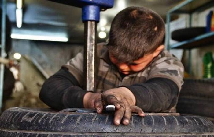 بيان
      عربي
      مشترك
      يدعو
      لاتخاذ
      إجراءات
      فورية
      وفعالة
      للحَدِّ
      من
      عمالة
      الأطفال