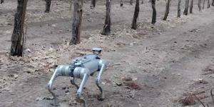 "الروبوت الكلب" يقلب موازين الزراعة.. يقلل الهدر بـ 95 بالمئة و"يفوق البشر" في الدقة