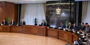 مدبولي: مصر مستمرة في دعم الجهود الرامية للتوصل إلى اتفاق دائم ينهي الحرب بالمنطقة