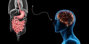 مفاجأة.. دراسة تكشف دور الأمعاء في صحة الدماغ: "النظام الغذائي يُحَسِّن الذاكرة"