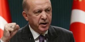 إردوغان يشيد بموقف إسبانيا: إسرائيل لن تنجح فى إسكات القلوب الشجاعة