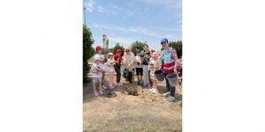 «موئل الأمم المتحدة» يُطلق مبادرة تشجير رمزية دعماً للديبلوماسية البيئية في الكويت