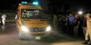 جريمة مأساوية في الغربية، مسجل خطر ينهي حياة سيدة طعنا في الشارع