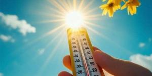 القبة الحرارية تضرب مصر، كيف تؤثر موجة الصهد على البيئة والمحاصيل الزراعية؟