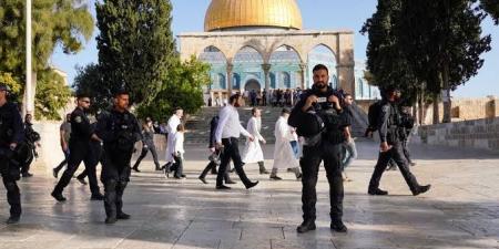 قوات
      الاحتلال
      تعتدي
      على
      المصلين
      في
      المسجد
      الأقصى