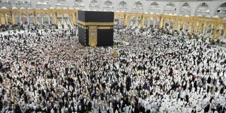 السعودية
      ترفع
      الطاقة
      الاستيعابية
      لفنادق
      مكة
      والمدينة
      لتلبية
      تزايد
      أعداد
      الزائرين