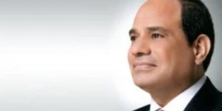 الرئيس السيسى يؤكد رفض مصر التدخلات الخارجية فى السودان ومحاولات النيل من أمنه