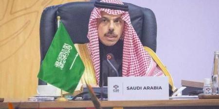 وزير الخارجية ونظيرته السويدية يناقشان تعزيز التعاون والتطورات الإقليمية