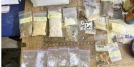 ضبط تشكيل عصابي بحوزته مخدرات بـ250 مليون جنيه في الإسكندرية