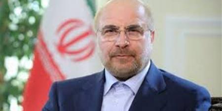 رئيس البرلمان الإيراني: لا نعير التهديدات الأمريكية أهمية ونرد على أرض الواقع