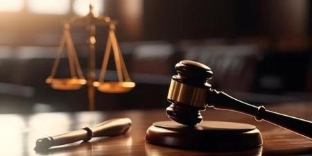 تأجيل محاكمة عاطل بتهمة قتل عامل بالزاوية الحمراء لـ 7 يوليو