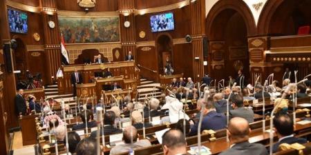 نائب يستعرض أمام جلسة الشيوخ معوقات المشروعات الصغيرة والمتوسطة