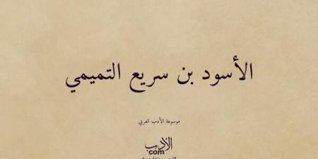 صحابة منسيون، الأسود بن سريع التميمي السعدي "حمّاد ربه"