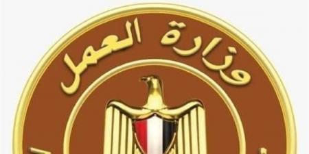 ثورة 30 يونيو تعيد رسم خريطة سوق العمل.. انخفاض نسبة البطالة إلى 6%.. التوسع في المشروعات التنموية والصناعية وتوفير وظائف في الخارج.. وإطلاق استراتيجية وطنية للتشغيل حتى 2030