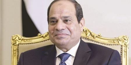 السيسي: ثورة 30 يونيو جسدت إرادة المصريين للحفاظ على هوية الدولة واستعادة مسارها الصحيح