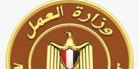 الحكومة تحذر من صفحات وحسابات وهمية تروج لمعلومات مغلوطة بشأن منحة العمالة غير المنتظمة