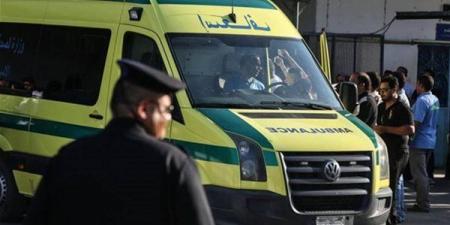 إجازة قصيرة انتهت بمأساة، القصة الكاملة لمقتل شخص على يد ابنه بالشرقية