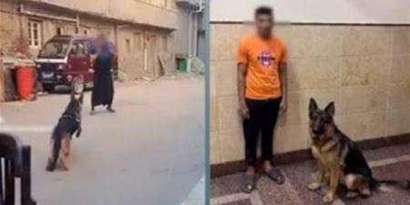 الداخلية تكشف ملابسات فيديو دفع كلب لمهاجمة سيدة في البحيرة وتضبط المتهم