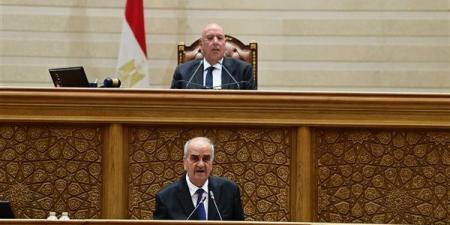 "ربنا يستر"، نائب يكتشف اختفاء أوراق بمقترحاته لتعديل قانون جهاز مستقبل مصر