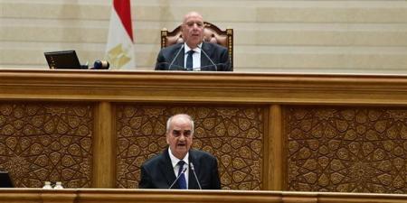 مجلس النواب يوافق نهائيا على مشروع قانون جهاز مستقبل مصر