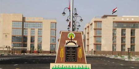 أنشطة متنوعة لمديرية العمل بالوادي الجديد لدعم التشغيل والتدريب