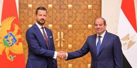 الرئاسة في أسبوع.. السيسي يؤكد لرئيسة تنزانيا أهمية تعزيز العلاقات الثنائية.. يبحث مع رئيس الجبل الأسود تطوير التعاون الاقتصادي.. ويؤكد لـ ميلوني ضرورة تكثيف الاستثمارات الإيطالية بالسوق المصري