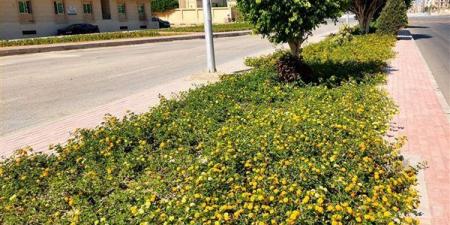 وزيرة الإسكان تتابع موقف المشروعات وأعمال التطوير ورفع كفاءة الخدمات بمدن الصعيد الجديدة