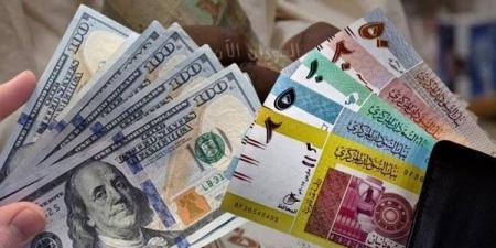448.73 جنيه سعر الدولار في بنك السودان المركزي