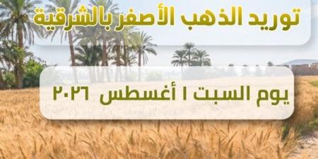 ارتفاع إجمالي القمح المورد لصوامع الشرقية إلى 677 ألف طن