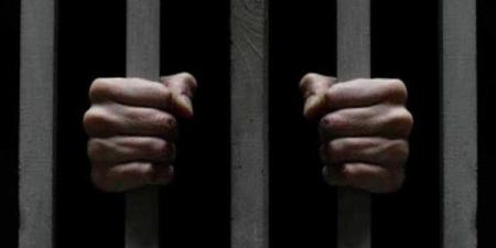 فحص هواتف سيدة متهمة بإدارة شركة وهمية لخداع راغبي العمل بالخارج