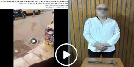 بسبب الكلاب الضالة، مطرقة حديدية تشعل أزمة أمام محل بالإسكندرية