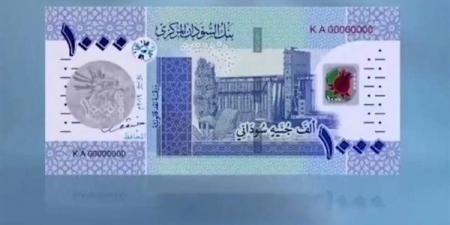 سعر الجنيه مقابل الدولار في بنك السودان المركزي اليوم الأحد