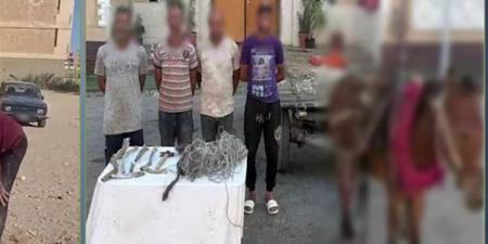 على عينك يا تاجر، 3 لصوص يسرقون كابل اتصالات في السويس بعربة كارو