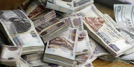 من الهجرة غير الشرعية إلى غسل الأموال، سيدة تحاول إخفاء 10 ملايين جنيه