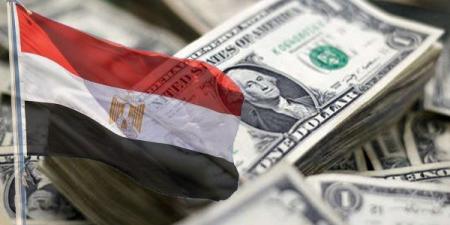 مدبولي: خفض الدين الخارجي بـ2 مليار دولار سنويا وهذه خطة أجهزة الموازنة