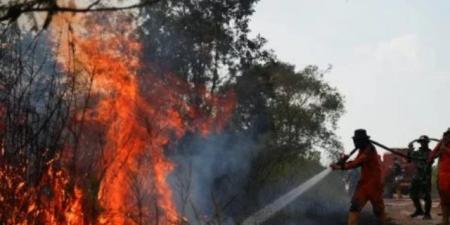 حرائق الغابات في إندونيسيا قد تستمر حتى أوائل نوفمبر مع تأخر موسم الأمطار