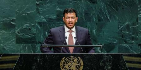 نائب رئيس “الرئاسي اليمني” يدعو المجتمع الدولي لحماية باب المندب