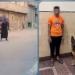 الداخلية تكشف ملابسات فيديو دفع كلب لمهاجمة سيدة في البحيرة وتضبط المتهم