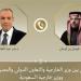 وزير الخارجية يبحث مع نظيره السعودي جهود خفض التصعيد في المنطقة