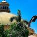 جامعة القاهرة توثق ثروة مصر النباتية في أول تحديث شامل للفلورا المصرية منذ 15 عامًا