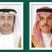 وزير الخارجية ونظيره الإماراتي يبحثان مستجدات الأوضاع بالشرق الأوسط