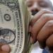 أسعار الدولار في مصر اليوم